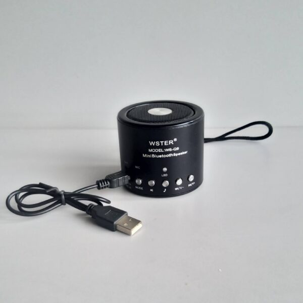 WS-Q9 WESTER